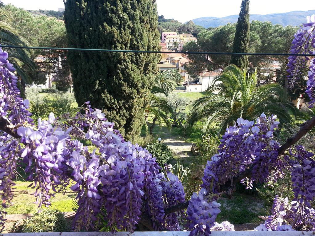 Villa San Giuseppe Porto Azzurro Kültér fotó